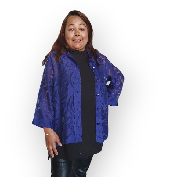 Sheer Blue Button-Up Blouse - Picture 7 of 16